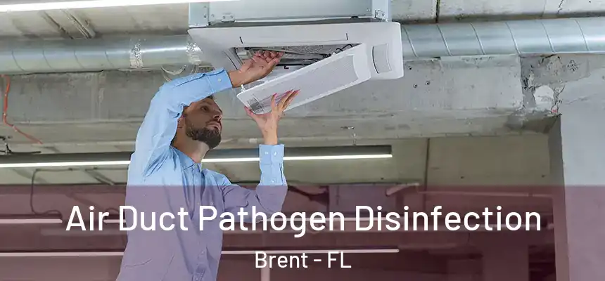 Air Duct Pathogen Disinfection Brent - FL