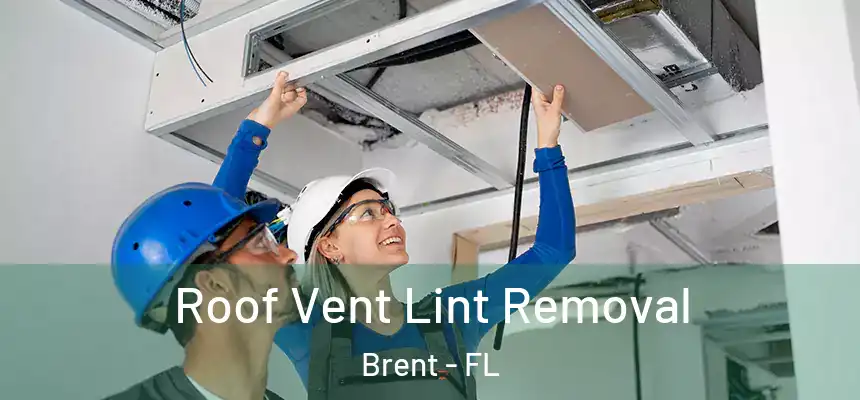 Roof Vent Lint Removal Brent - FL